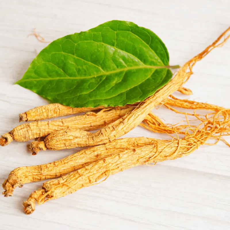 ashwagandha replacement grow ginseng in Pakistan