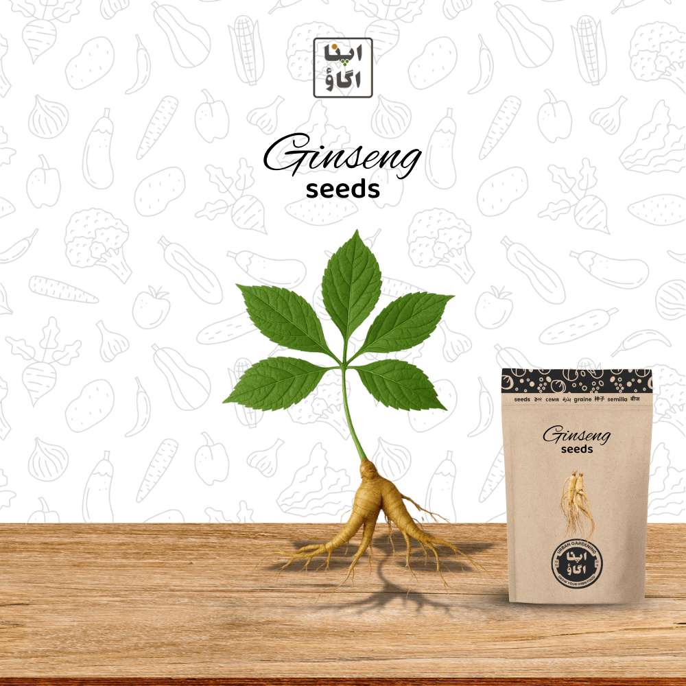 Organic Ginseng (Panax ginseng) Herb Seeds – Premium Medicinal Root