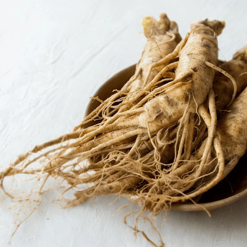 Ginseng roots on a white surface | buy seeds