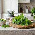 use lemon balm for your tea and in continental foods