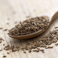 Growing Caraway herb at home in Pakistan – feathery foliage and aromatic seed harvest – ApnaUgao