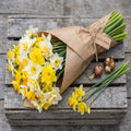 Gul-e-Nargis daffodil flower bouquet with daffodil bulbs on a wooden crate