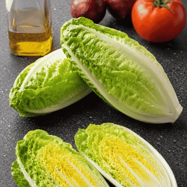 Fresh striped heirloom cucumbers for home gardening