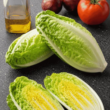 Fresh striped heirloom cucumbers for home gardening