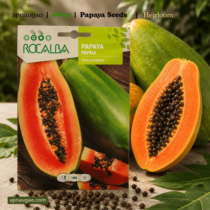 grow heiroom papaya seeds in Pakistan | apnaugao