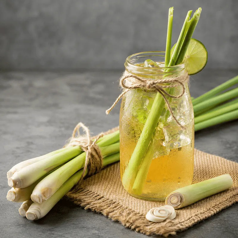 grow your own tea of lemon grass
