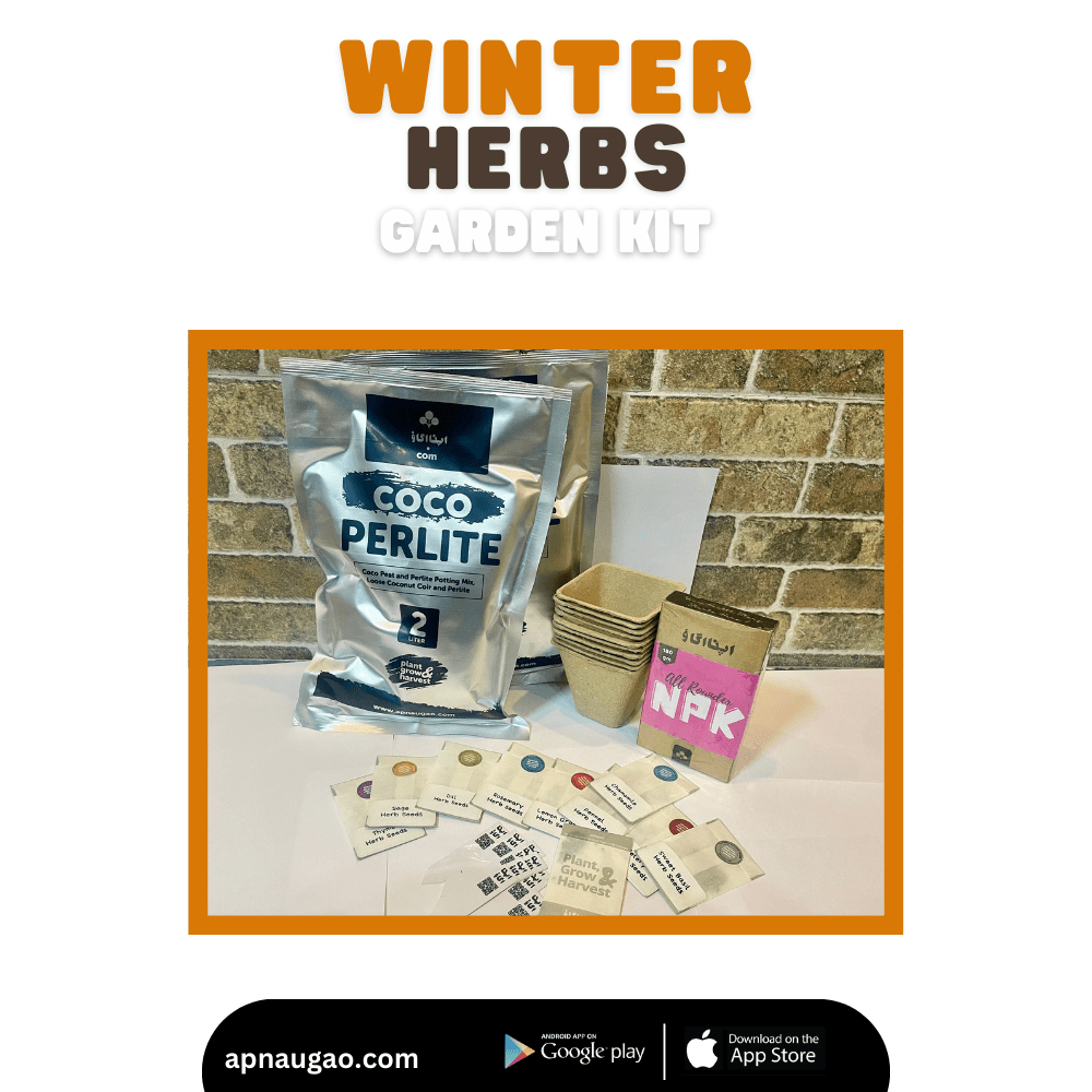 10 Winter Herbs Home Gardening Kit. DIY Easy to grow. - Apnaugao