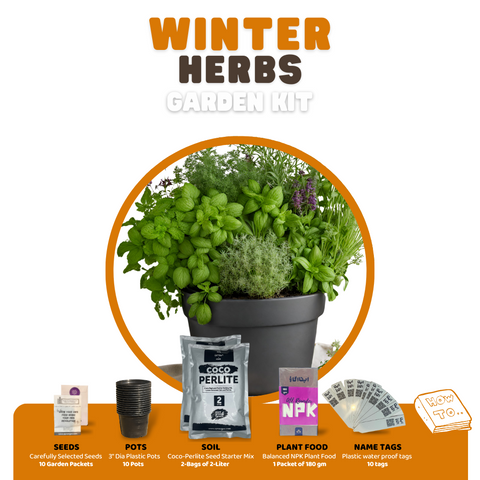 10 Winter Herbs Home Gardening Kit. DIY Easy to grow.