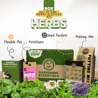 Herbs and Spices Gardening Kit GREEN BOX – 12 culinary and medicinal herb seeds with potting mix, pots and fertilizer for Pakistan home gardens