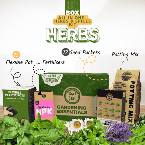 Herbs & Spices Gardening Kit – GREEN BOX