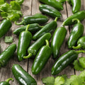 jalapeno hot pepper seeds available in Pakistan