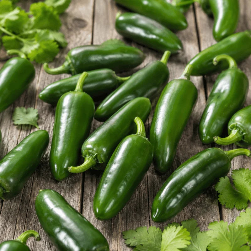 jalapeno hot pepper seeds available in Pakistan