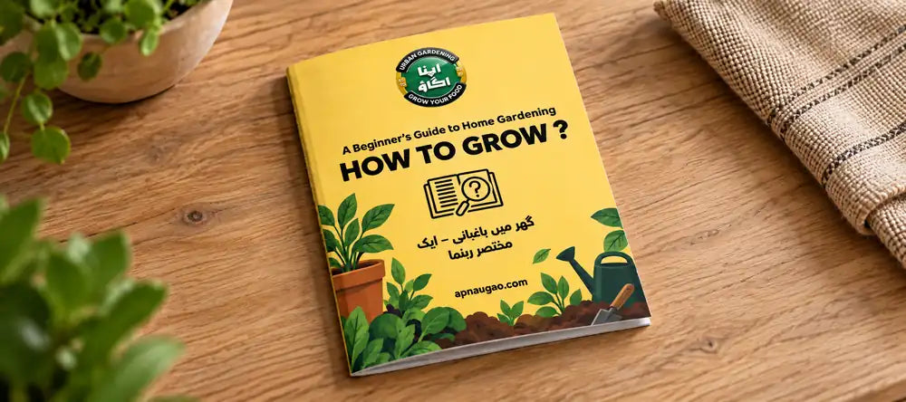How to grow guides for home gardening in Pakistan by Apnaugao