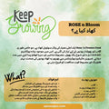 How to use Rose n Flowers Bloom Booster Fertilizer