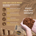 use coco peat for better roots and plant growth at home