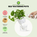 how to maintain plants in self watering pots