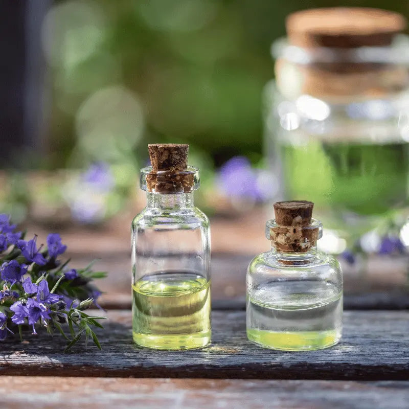 grow hyssop herbs seeds in Pakistan | apnaugao