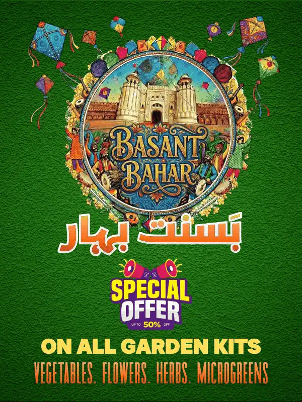 basant in the city of gardensslider_item_McAT9j