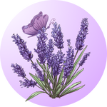 grow lavender
