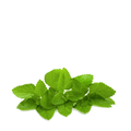 Lemon Balm Organic Seeds - Apnaugao