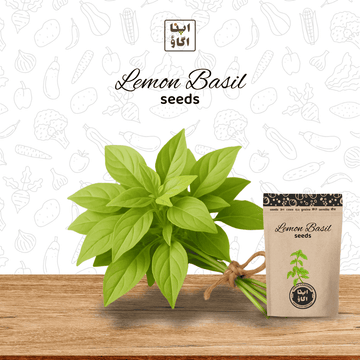 Organic Lemon Basil Seeds – Citrusy Aromatic Herb