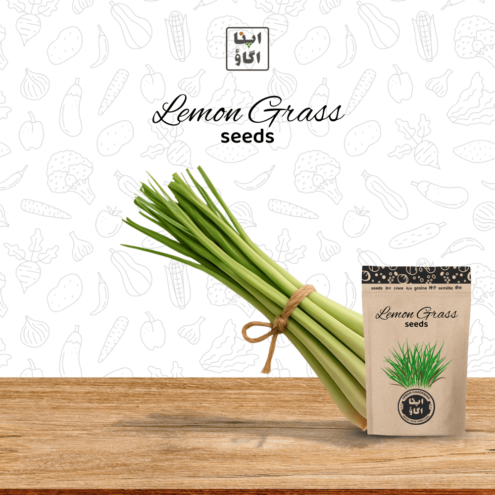 Lemon Grass Seeds – Fragrant Citrus-Grass Perennial