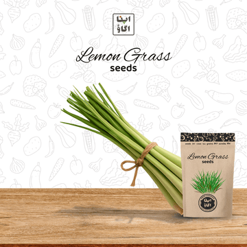 Lemon Grass Seeds – Fragrant Citrus-Grass Perennial