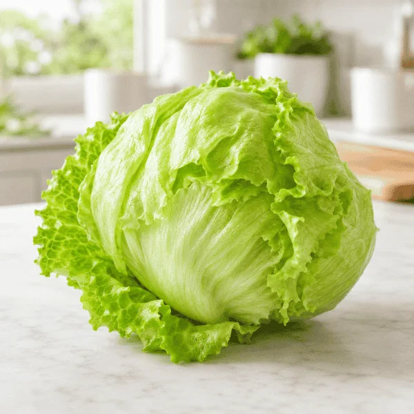 Fresh crisphead iceberg lettuce