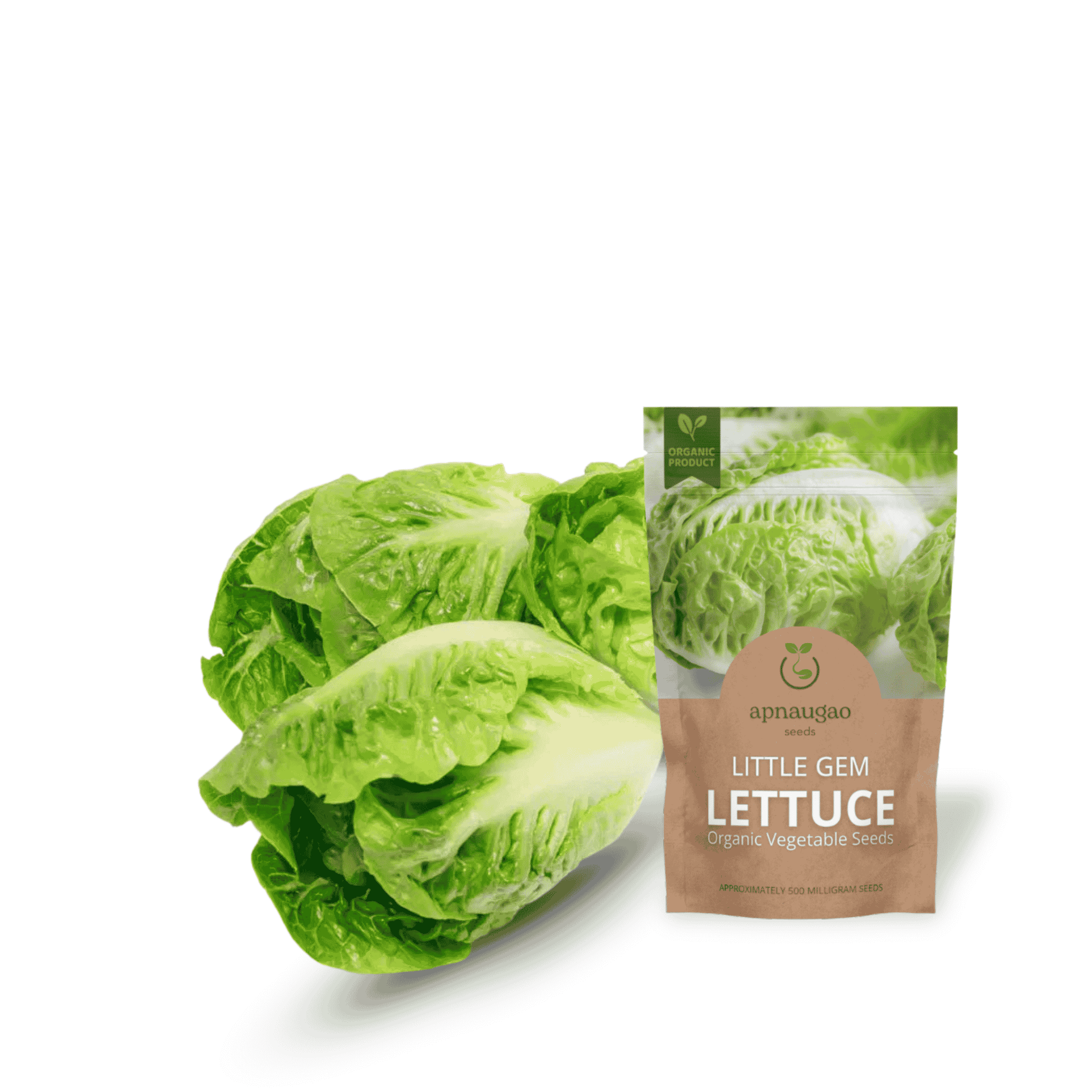 Little Gem Lettuces seeds in Lahore
