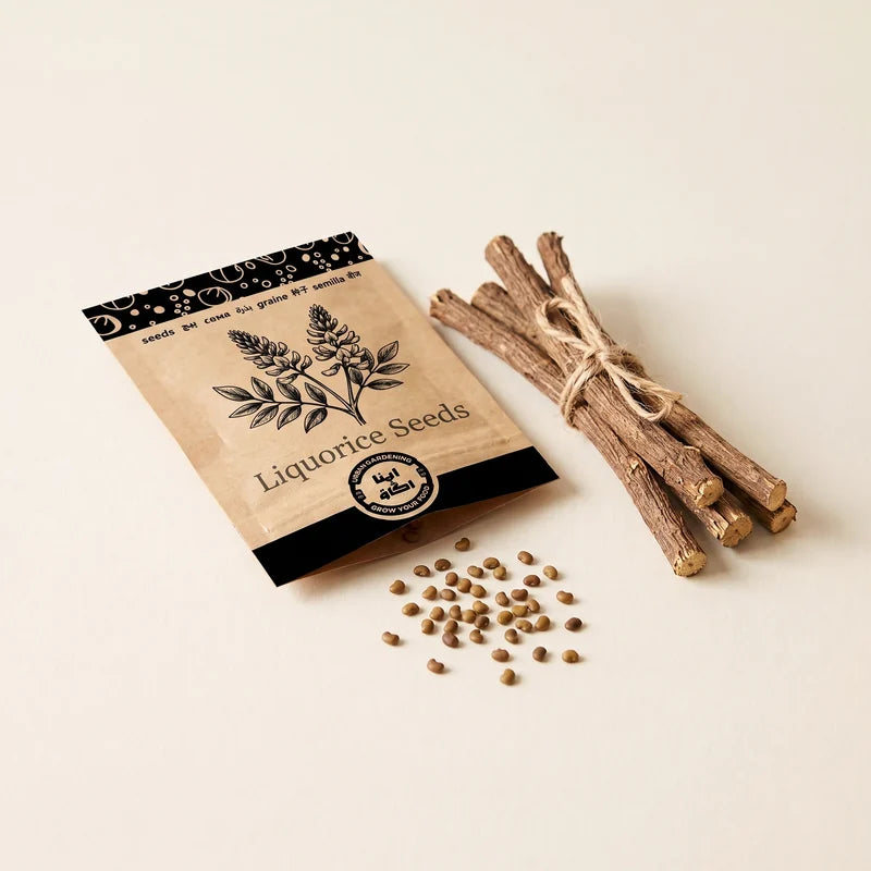 Apnaugao liquorice (mulethi) seeds packet with dried liquorice root sticks and seeds – buy liquorice seeds Pakistan
