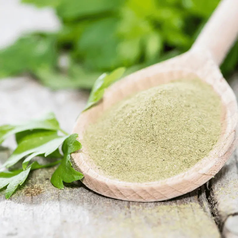 Medicinal uses of lovage herb | buy seeds to grow
