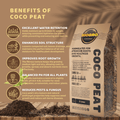 coco peat loose for home gardening in Pakistan by apnaugao
