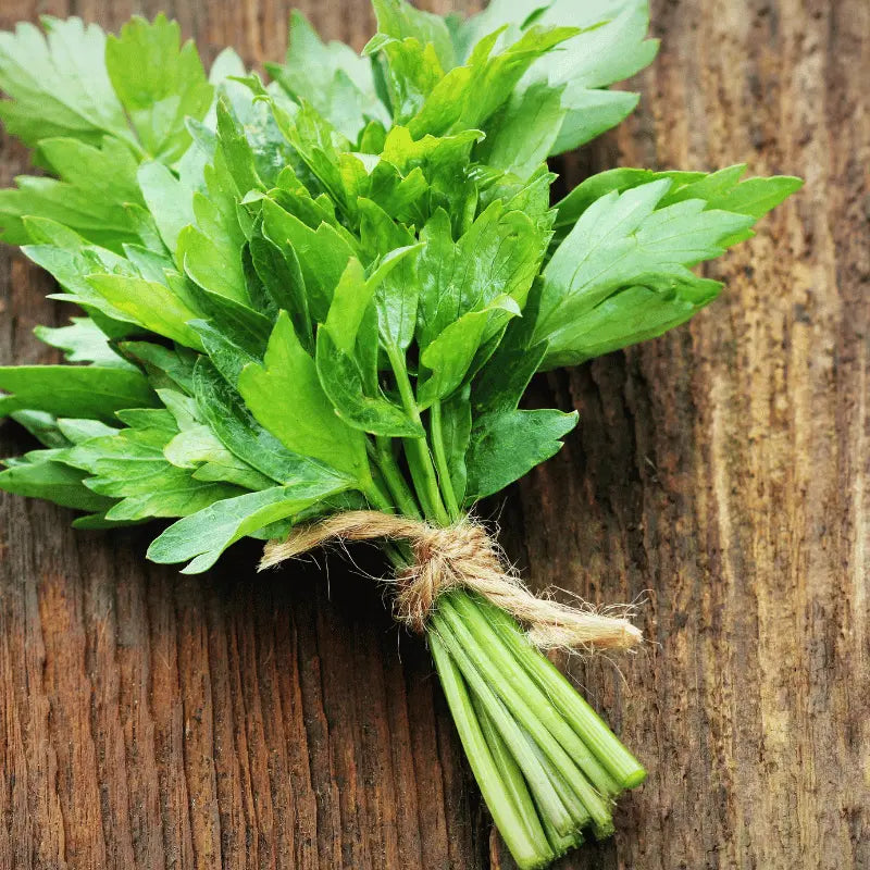 grow your own lovage at home