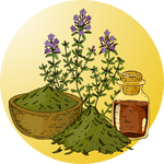 best medicinal_herbs_seeds for home gardening