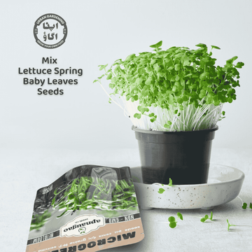 Mix Lettuce Spring Baby Leaves, 7 Different Lettuce Varieties