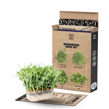 Micro Greens / Baby Leaf Seeds Set