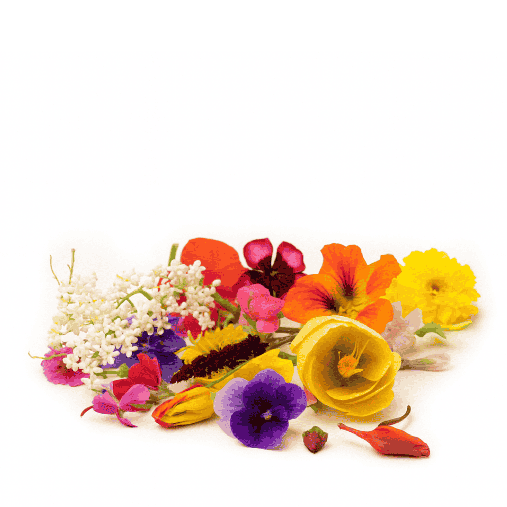 edible flowers mix in Pakistan