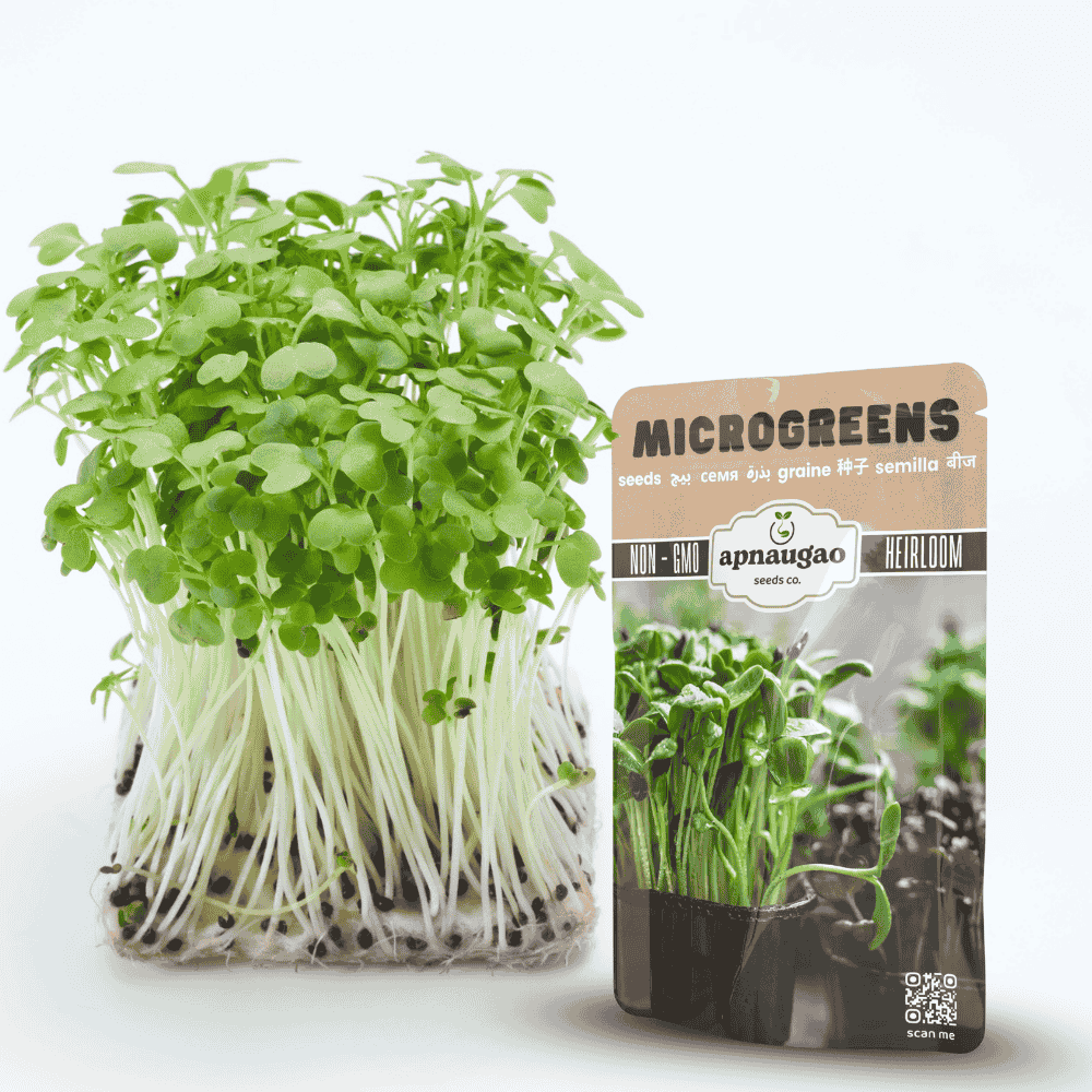Microgreens with a package labeled 'apnaugao' on a white background