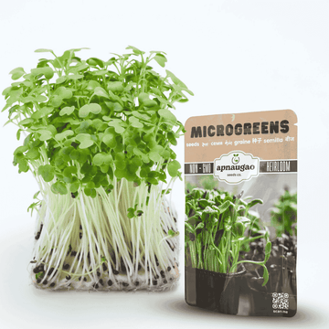 Microgreens with a package labeled 'apnaugao' on a white background