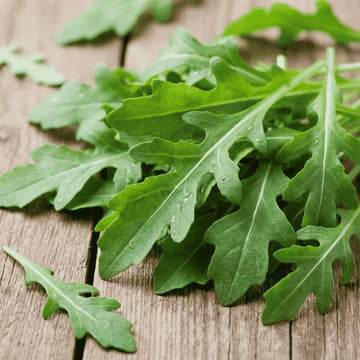 Organic rocket arugula seeds for fast growing salad green leafy vegetable plant