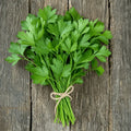 grow italian parsley in Pakistan - get seeds from apnaugao