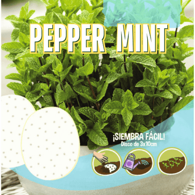 Pepper Mint Seeds Disc - Apnaugao