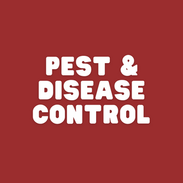 pest control spray collection in Pakistan