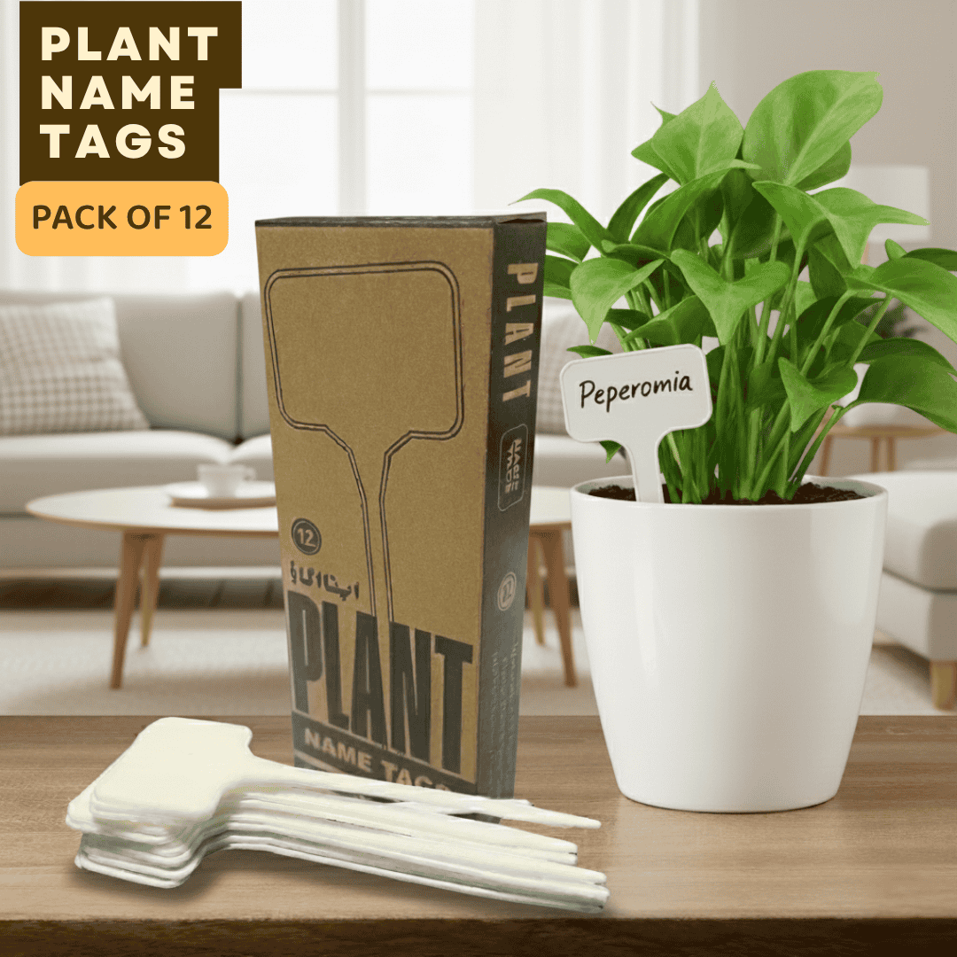 Pack of 12 plant name tags with a potted plant on a table in a living room setting.