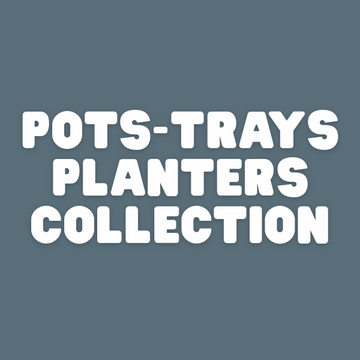 pots and seedling trays available for home gardening