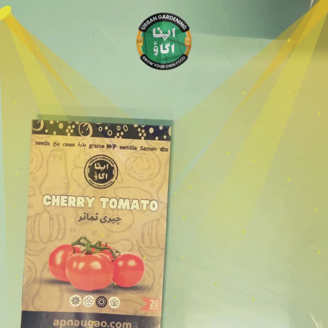 summer seeds set ndividual packs video