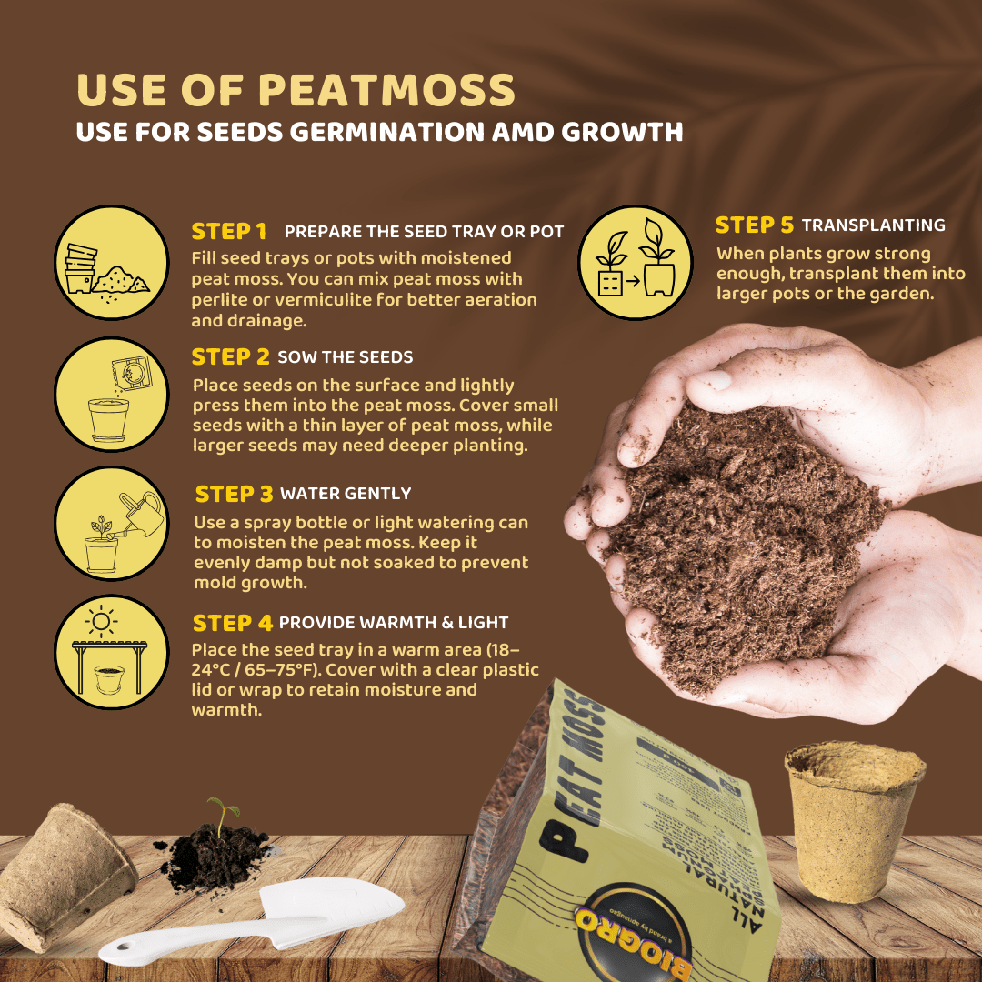 is peat moss a seed plant Premium Peat Moss for Home Gardening in Pakistan