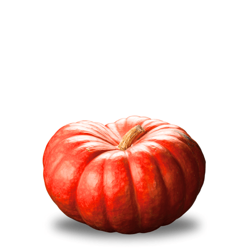 Pumpkin Muscade de Provence Seeds – French Heirloom - Rich Sweet Flesh