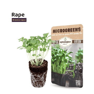 Microgreens with a package labeled 'Microgreens' on a white background