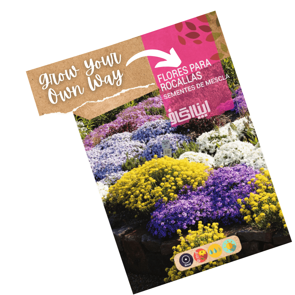 rockery plant seeds Mixed Flower Seeds For Rockeries